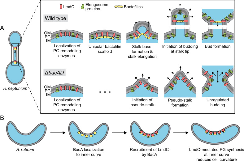 Figure 12.