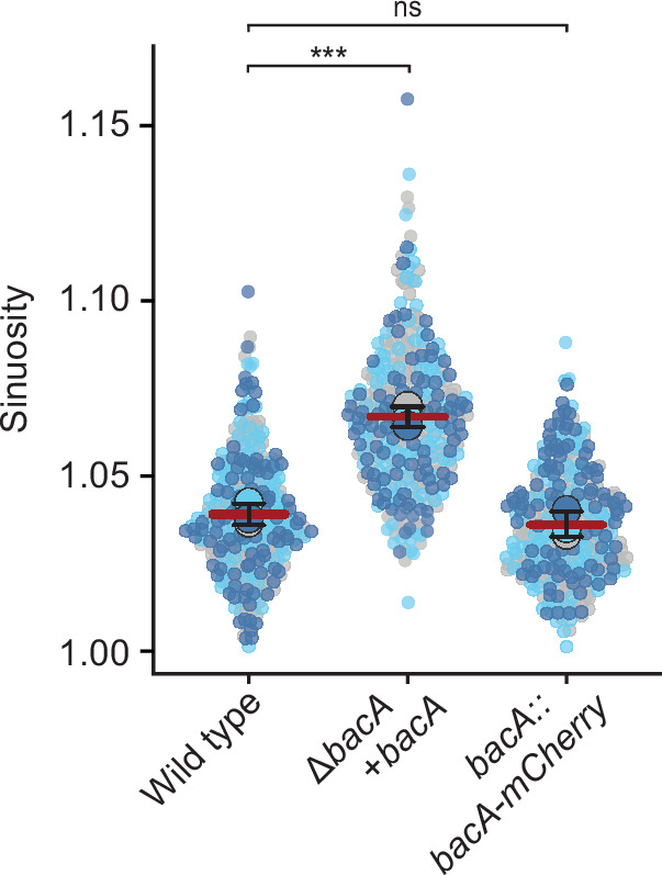 Figure 10—figure supplement 2.