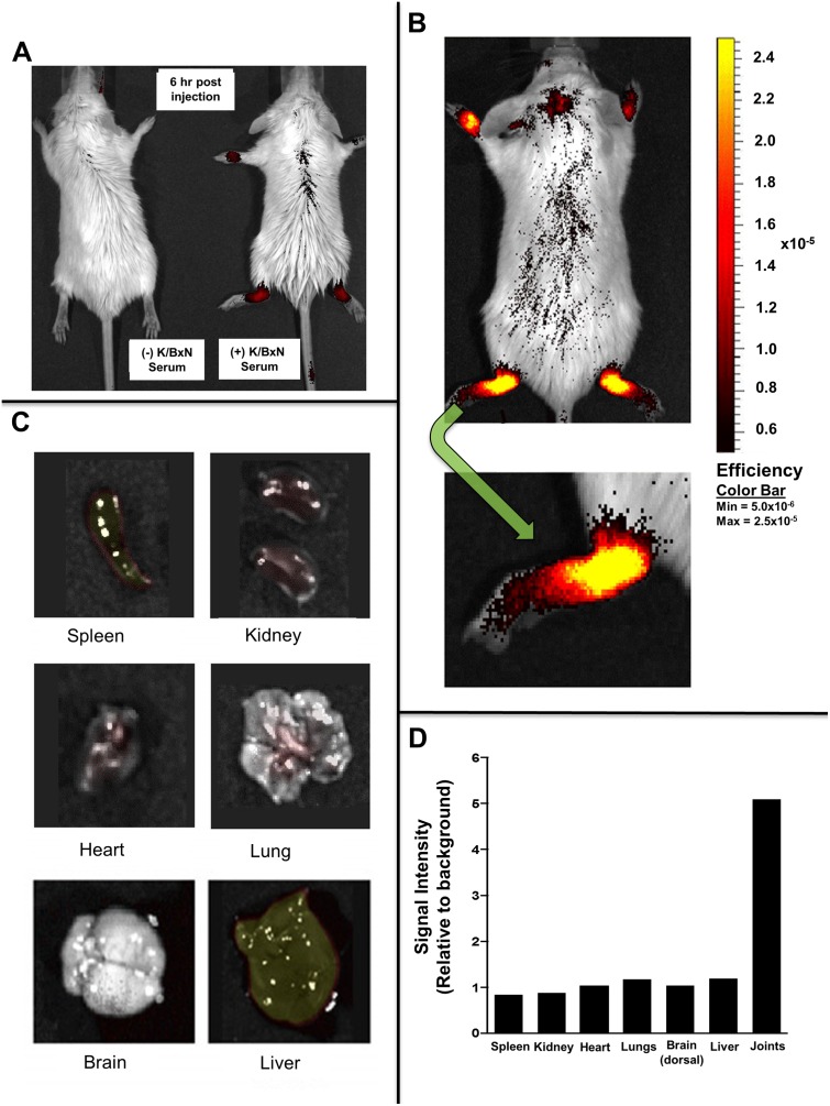 Fig 3