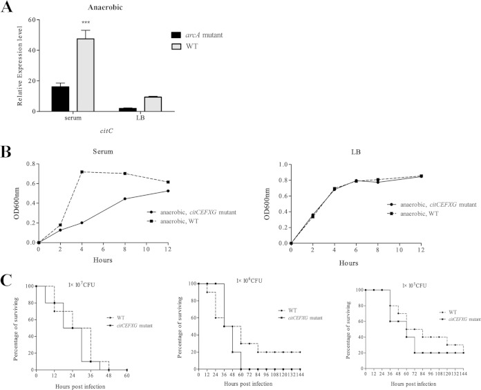 FIG 3