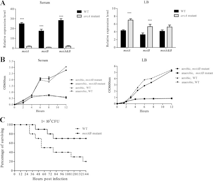 FIG 2