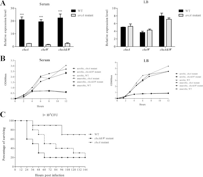 FIG 4