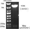 <b>FIG. 2.</b>