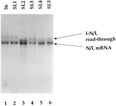 FIG. 5