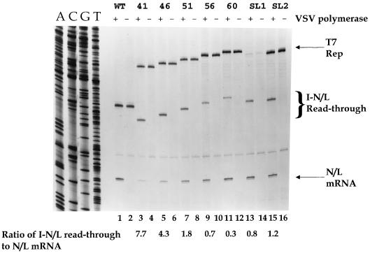 FIG. 6