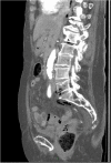Fig. 5