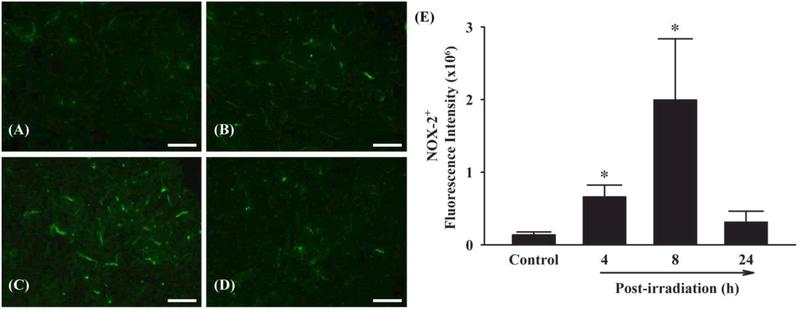 Figure 5.