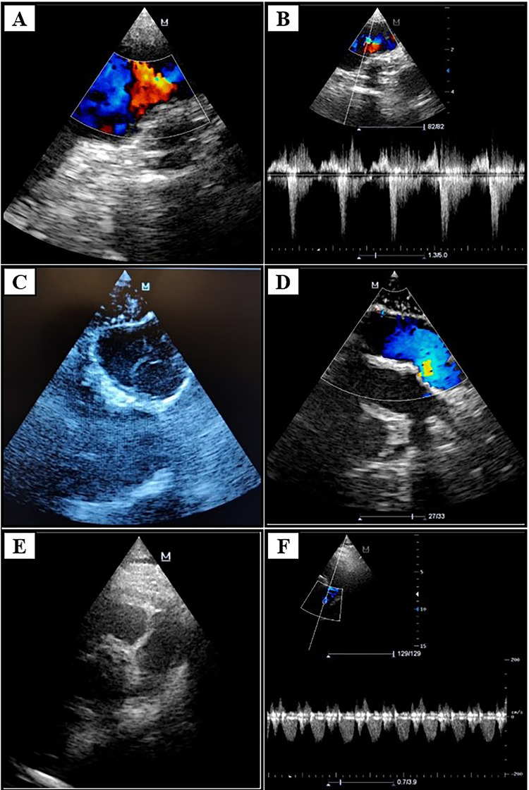 Fig. 9