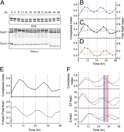 Fig. 3.