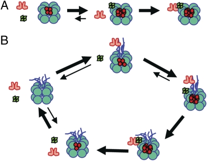 Fig. 6.