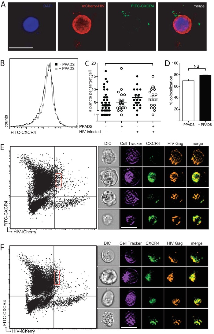 FIG 4