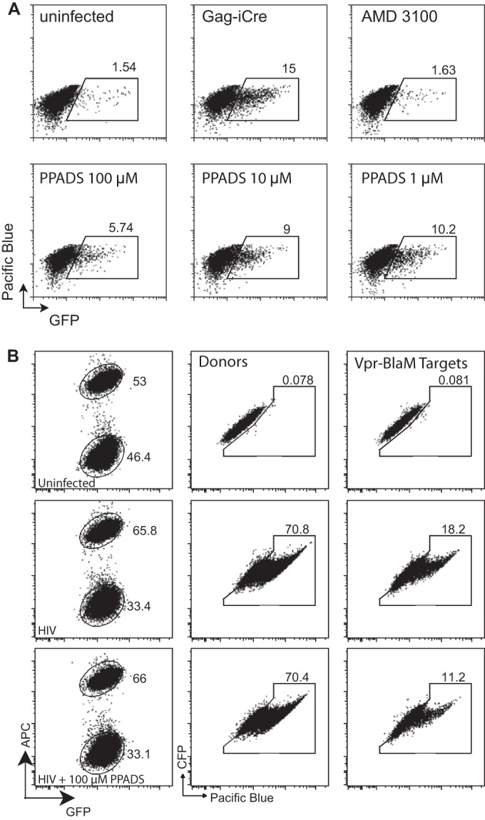 FIG 3