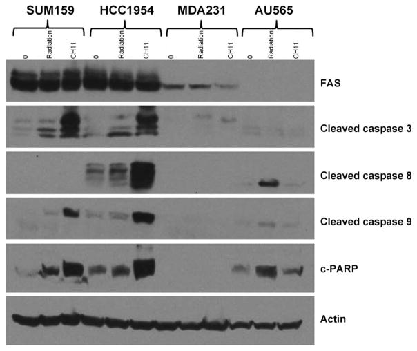 FIG. 6