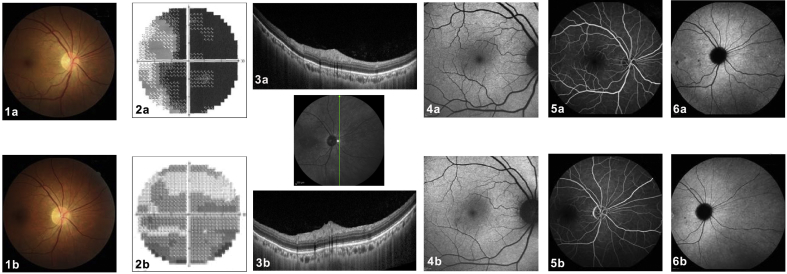 Fig. 6