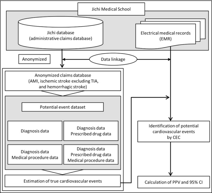 FIGURE 1