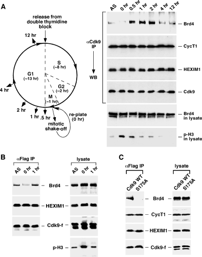 FIG. 6.