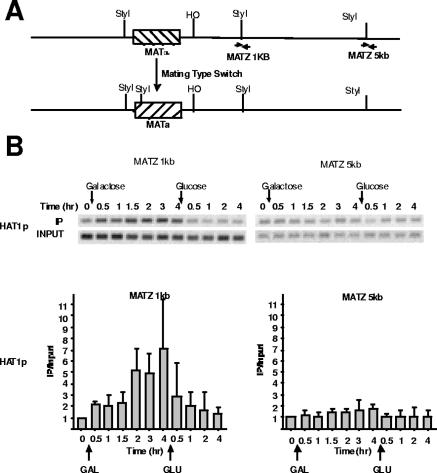 FIG. 2.