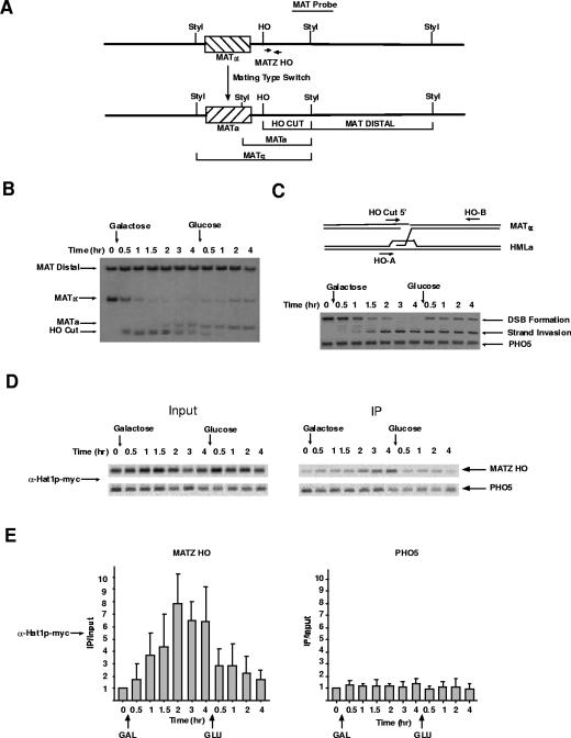 FIG. 1.