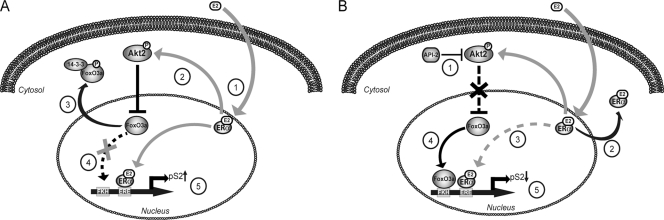 FIG. 8.