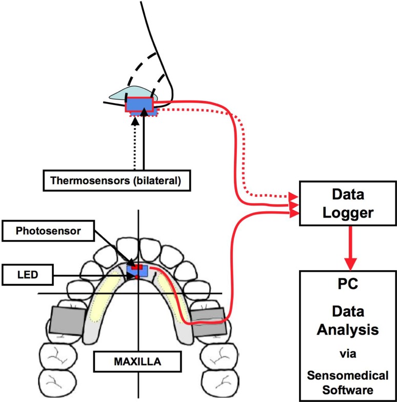 Fig. 1