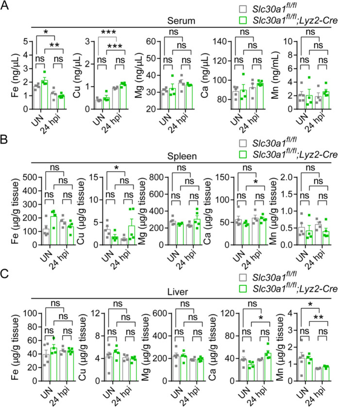 Figure 6—figure supplement 1.