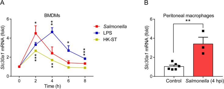 Figure 1—figure supplement 2.