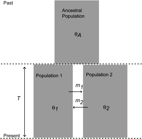 Figure 1.—