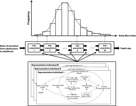 FIGURE 1—