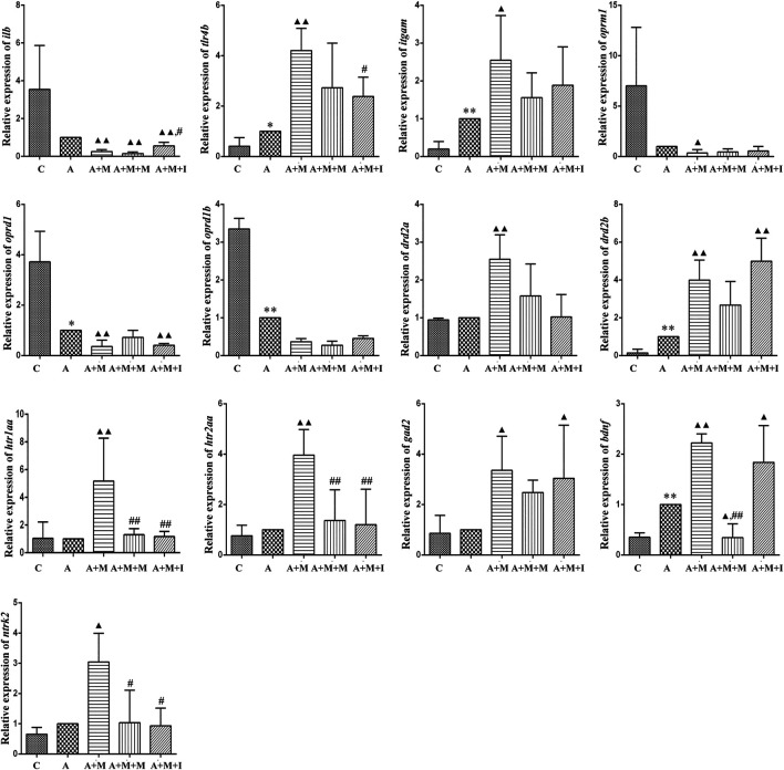 FIGURE 14