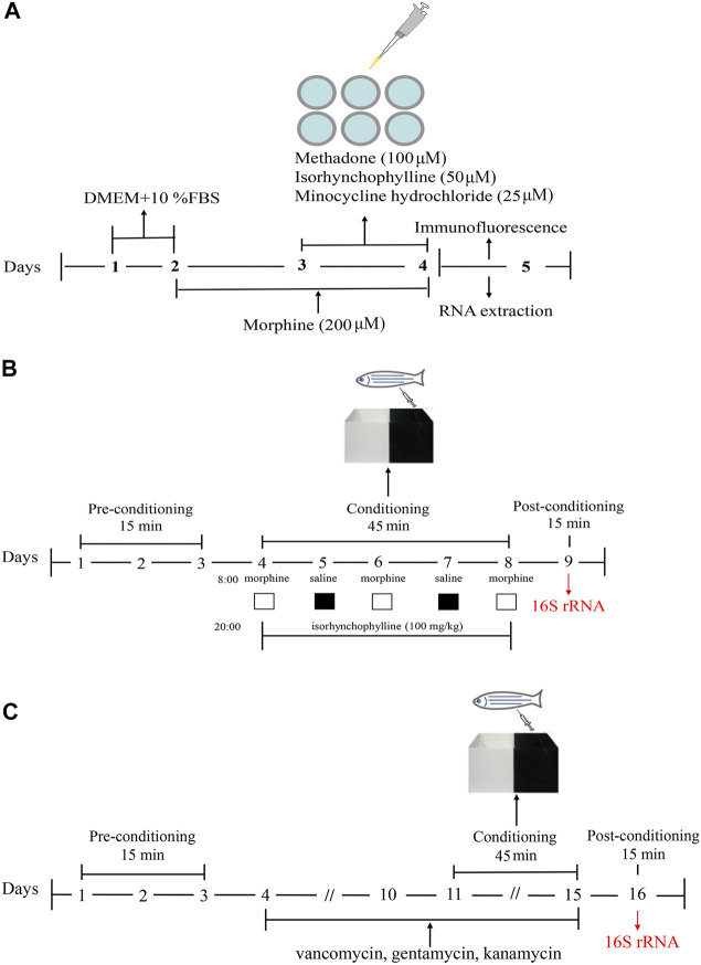 FIGURE1