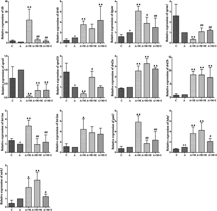 FIGURE 15