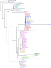 Figure 4