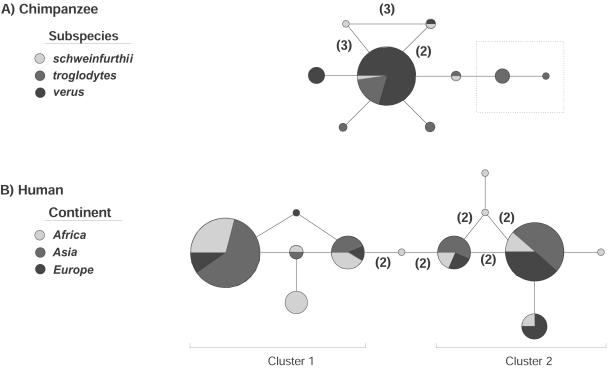 Figure  4