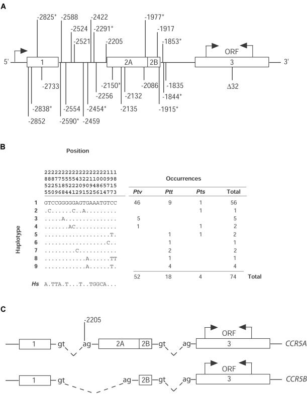 Figure  2