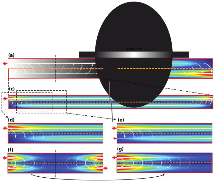 Fig. 13