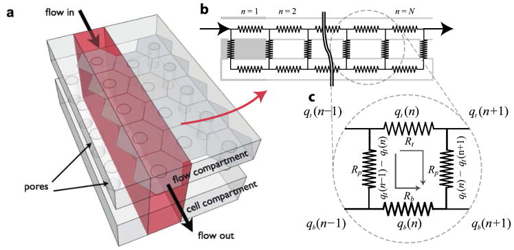 Fig. 12