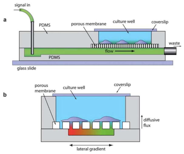 Fig. 10