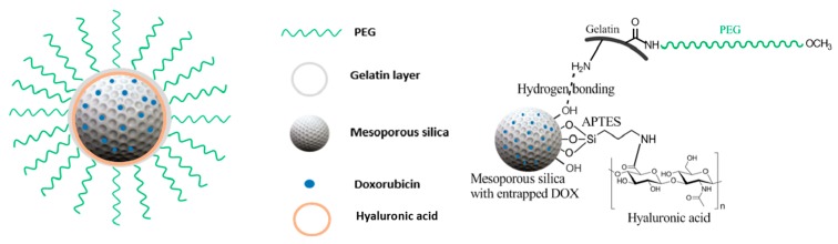 Figure 13