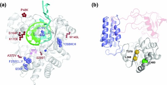 Fig. 1