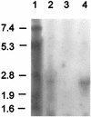 FIG. 6