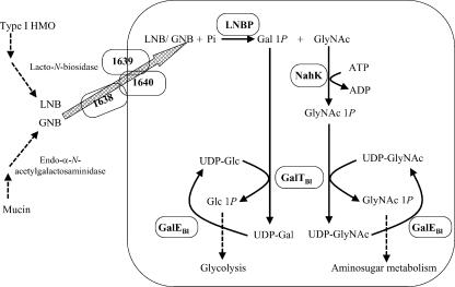 FIG. 4.