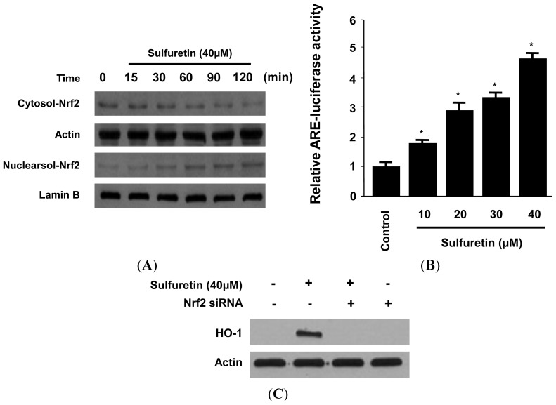 Figure 5.