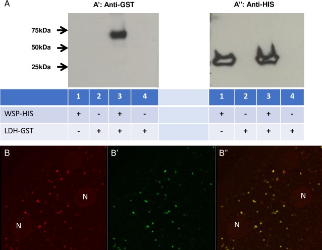 Fig 3