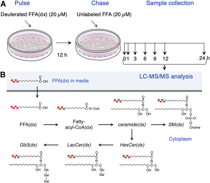 Fig. 1.