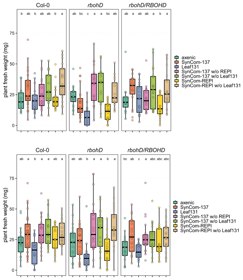 Extended Data Fig. 8