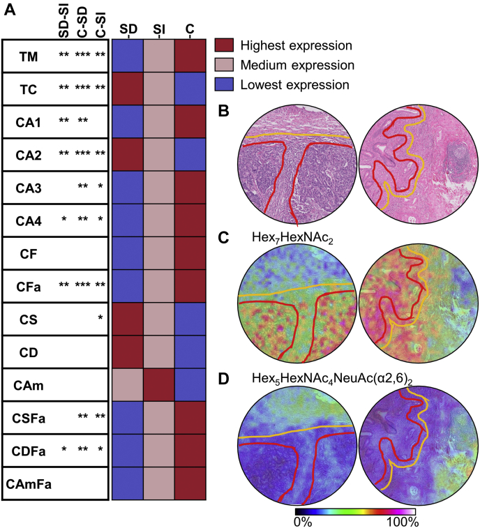 Fig. 3