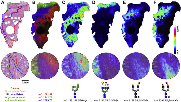 Fig. 1