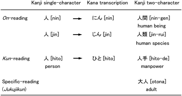 Chart comparing readings of the kanji "人" (person/people). On-reading: "nin" (にん) leads to "nin-gen" (人間) meaning human being, and "jin" (じん) to "jin-rui" (人類) indicating human species. Kun-reading: "hito" (ひと) becomes "hito-de" (人手) for manpower. Specific-reading (Jukujikun): "otona" (大人) translates to adult.