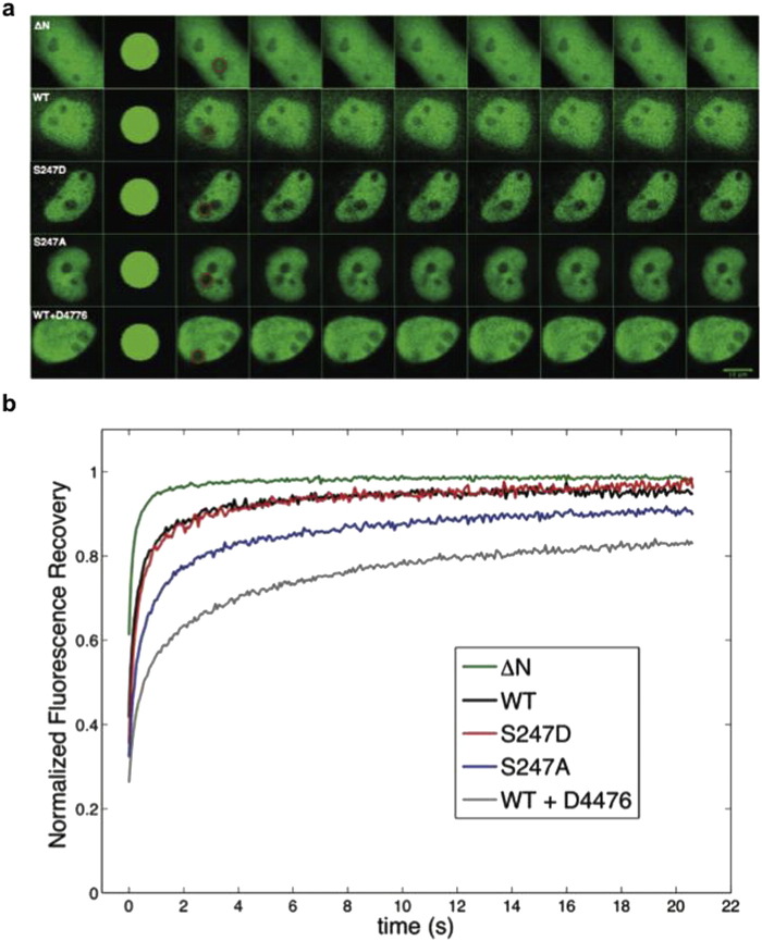 Fig. 3