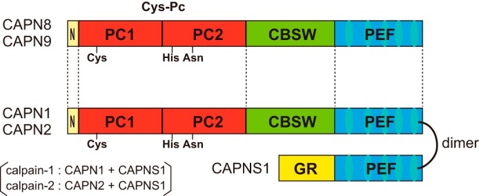 FIGURE 1.